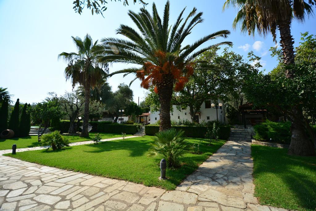 Villa Olive Ano Lekhonia Номер фото