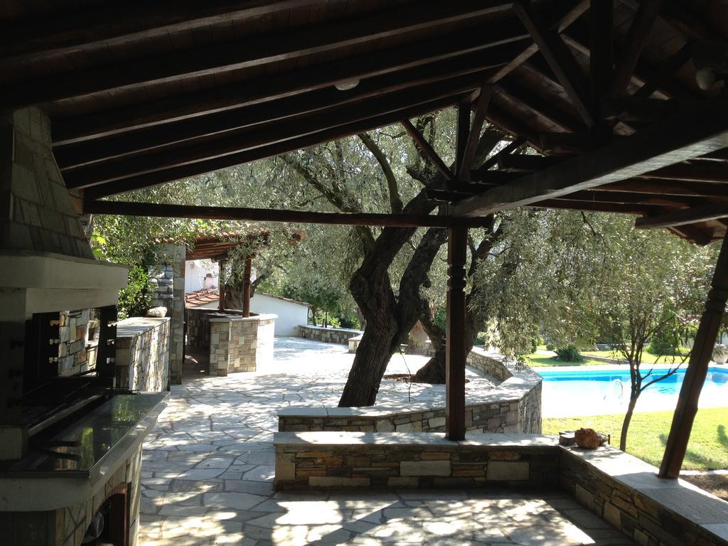 Villa Olive Ano Lekhonia Номер фото